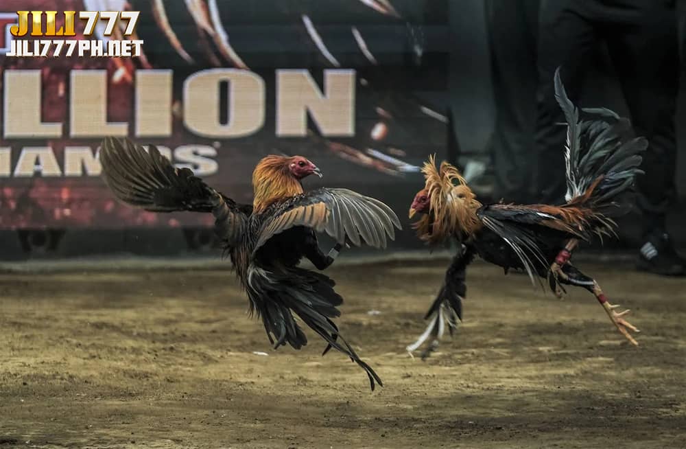 online-sabong-jili777ph